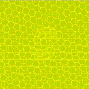 ����������������� ������ AveryDennison. ����� �7513 (1,22 �)